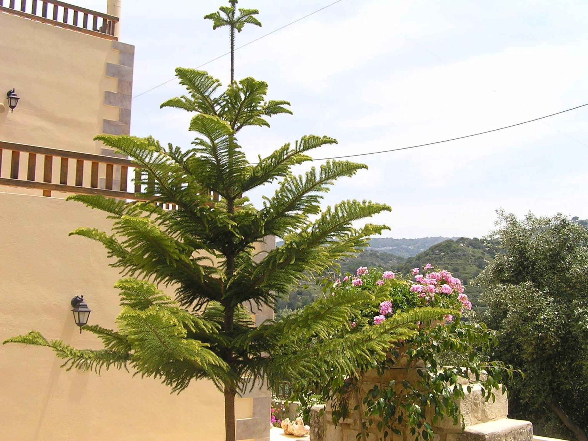 Stratos Villas Kaloniktis Exterior photo