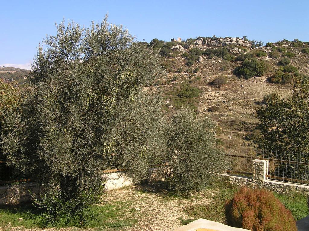 Stratos Villas Kaloniktis Exterior photo